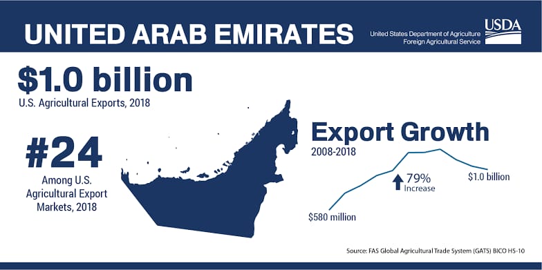 UAE's Economic Growth